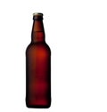 Beer bottle isolated on white Royalty Free Stock Photo