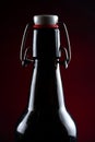 beer bottle with lid dark glass on a dark background Royalty Free Stock Photo