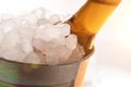 Beer bottle in metal bucket full of ice cubes detail