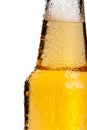 Beer bottle neck, isolated Royalty Free Stock Photo