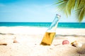 Beer bottle on a sandy beach with palm tree. Royalty Free Stock Photo