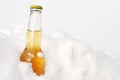 Beer bottle in snow Royalty Free Stock Photo