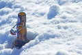 Beer bottle in snow Royalty Free Stock Photo