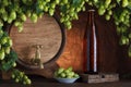 Beer bottle with vintage beer barrel with fresh hops