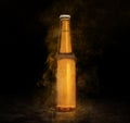 Beer bottle with water drops on the brown color smoke black background Royalty Free Stock Photo