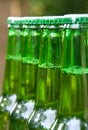 Beer Bottles Royalty Free Stock Photo