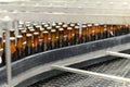 beer bottles on the assembly line in a modern brewery - industrial plant in the food industry Royalty Free Stock Photo