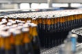 beer bottles on the assembly line in a modern brewery - industrial plant in the food industry Royalty Free Stock Photo