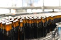 beer bottles on the assembly line in a modern brewery - industrial plant in the food industry Royalty Free Stock Photo