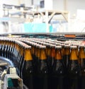 beer bottles on the assembly line in a modern brewery - industrial plant in the food industry Royalty Free Stock Photo