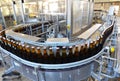 beer bottles on the assembly line in a modern brewery - industrial plant in the food industry Royalty Free Stock Photo