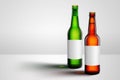 Beer bottles brown and green and blank label mock-up Royalty Free Stock Photo