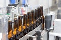 BEER BOTTLES ON A CONVEYOR BELT