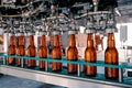 Beer bottles filling on the conveyor belt in the brewery factory