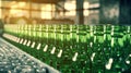 Beer bottles green color on production line being. Generative AI. Royalty Free Stock Photo