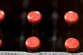 Beer bottles Royalty Free Stock Photo