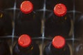 Beer bottles Royalty Free Stock Photo