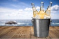 Beer bottles in ice on beach background Royalty Free Stock Photo