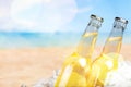 Beer bottles in ice on beach background Royalty Free Stock Photo