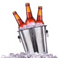 Beer bottles in ice bucket isolated on white Royalty Free Stock Photo