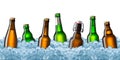 Beer bottles on ice