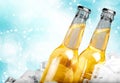 Beer bottles in ice on light background Royalty Free Stock Photo