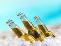 Beer Bottles Royalty Free Stock Photo