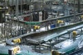 Beer bottles moving on automated conveyor line or belt. Industrial brewery and alcohol production equipment