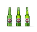 Beer bottles vector illustration isolated on white Royalty Free Stock Photo