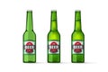 Beer bottles vector objects , realistic full cold and empty green beer bottle Royalty Free Stock Photo