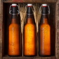 Beer bottles with wheat stems Royalty Free Stock Photo