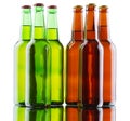 Beer bottles on white background Royalty Free Stock Photo