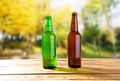 Beer bottles on wooden table on blurred park background, alcohol concept Royalty Free Stock Photo