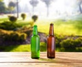 Beer bottles on wooden table on park blurred background, alcoholic drinks celebration Royalty Free Stock Photo