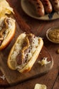 Beer Bratwurst with Sauerkraut Royalty Free Stock Photo