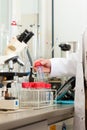 Beer Brewer in food laboratory examining