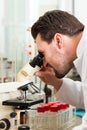 Beer Brewer in food laboratory examining