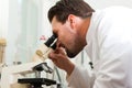 Beer Brewer in food laboratory examining