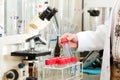 Beer Brewer in food laboratory examining