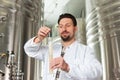 Beer brewer in his brewery examining Royalty Free Stock Photo