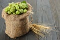 Beer brewing ingredients Hop cones in sack and wheat ears on dark wooden background. Beer brewery concept. Beer background Royalty Free Stock Photo