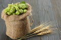 Beer brewing ingredients Hop cones in sack and wheat ears on dark wooden background. Beer brewery concept. Beer background Royalty Free Stock Photo