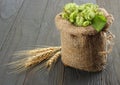 Beer brewing ingredients Hop cones in sack and wheat ears on dark wooden background. Beer brewery concept. Beer background Royalty Free Stock Photo