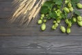 Beer brewing ingredients Hop cones and wheat ears on dark wooden table. Beer brewery concept. Beer background. Top view with copy Royalty Free Stock Photo