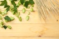 Beer brewing ingredients Hop cones and wheat ears on light wooden table. Beer brewery concept. Beer background. Top view Royalty Free Stock Photo