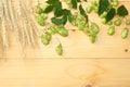 Beer brewing ingredients Hop cones and wheat ears on light wooden table. Beer brewery concept. Beer background. Top view Royalty Free Stock Photo