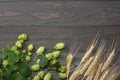 Beer brewing ingredients Hop and wheat ears on dark wooden table. Beer brewery concept. Beer background. Top view with copy space Royalty Free Stock Photo