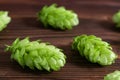 Beer brewing ingredients, hops,on a wooden cracked old table in front of hops plantation. Beer brewery concept. Royalty Free Stock Photo