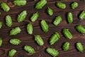 Beer brewing ingredients, hops,on a wooden cracked old table in front of hops plantation. Beer brewery concept