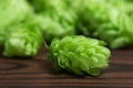 Beer brewing ingredients, hops,on a wooden cracked old table in front of hops plantation. Beer brewery concept Royalty Free Stock Photo